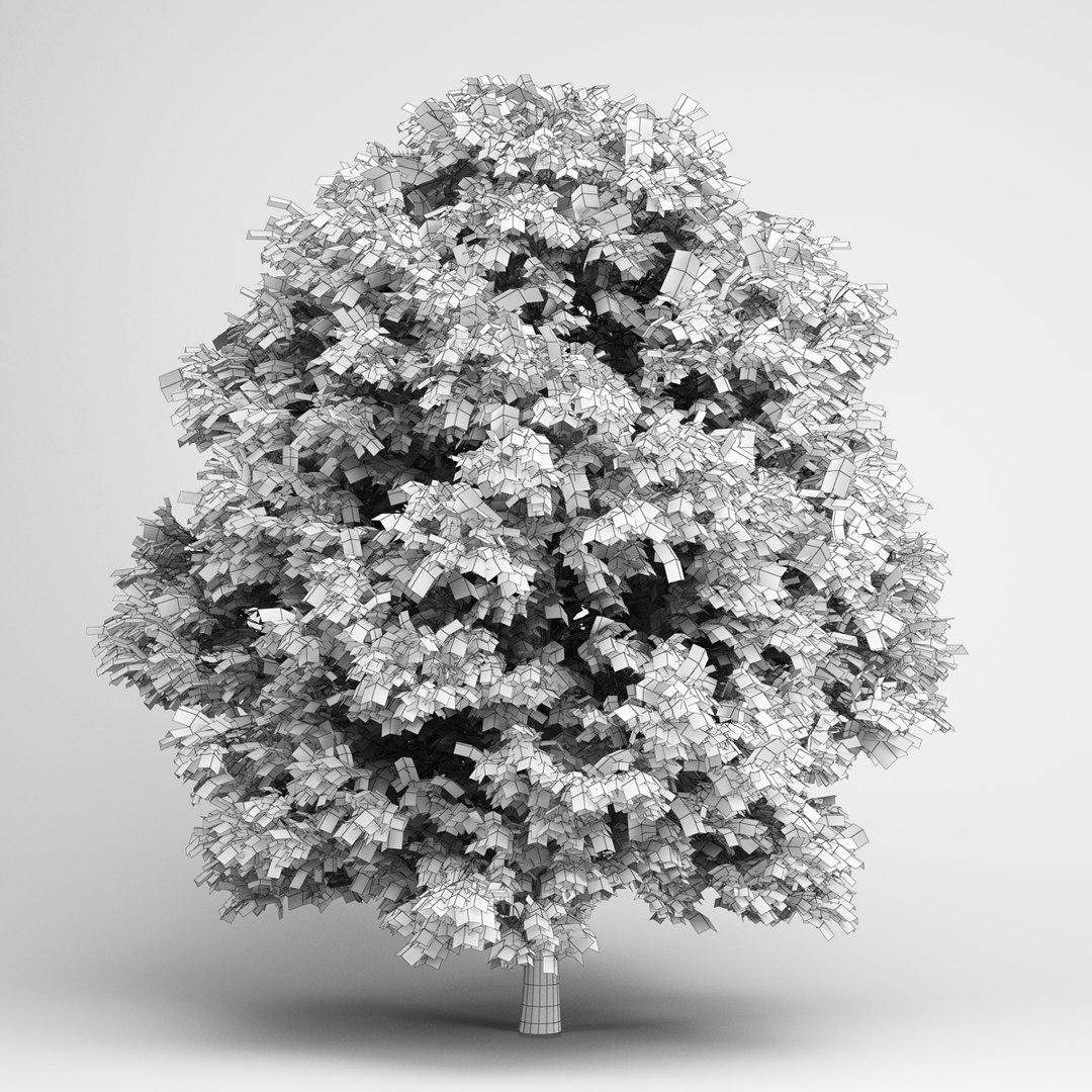 max volume 14 trees https://p.turbosquid.com/ts-thumb/AM/eQGd20/fYIoEMbS/cgaxis_models_14_05grid/jpg/1313678753/1920x1080/fit_q87/8c1a03fffd3976191fb06acd69d31fa985c01422/cgaxis_models_14_05grid.jpg