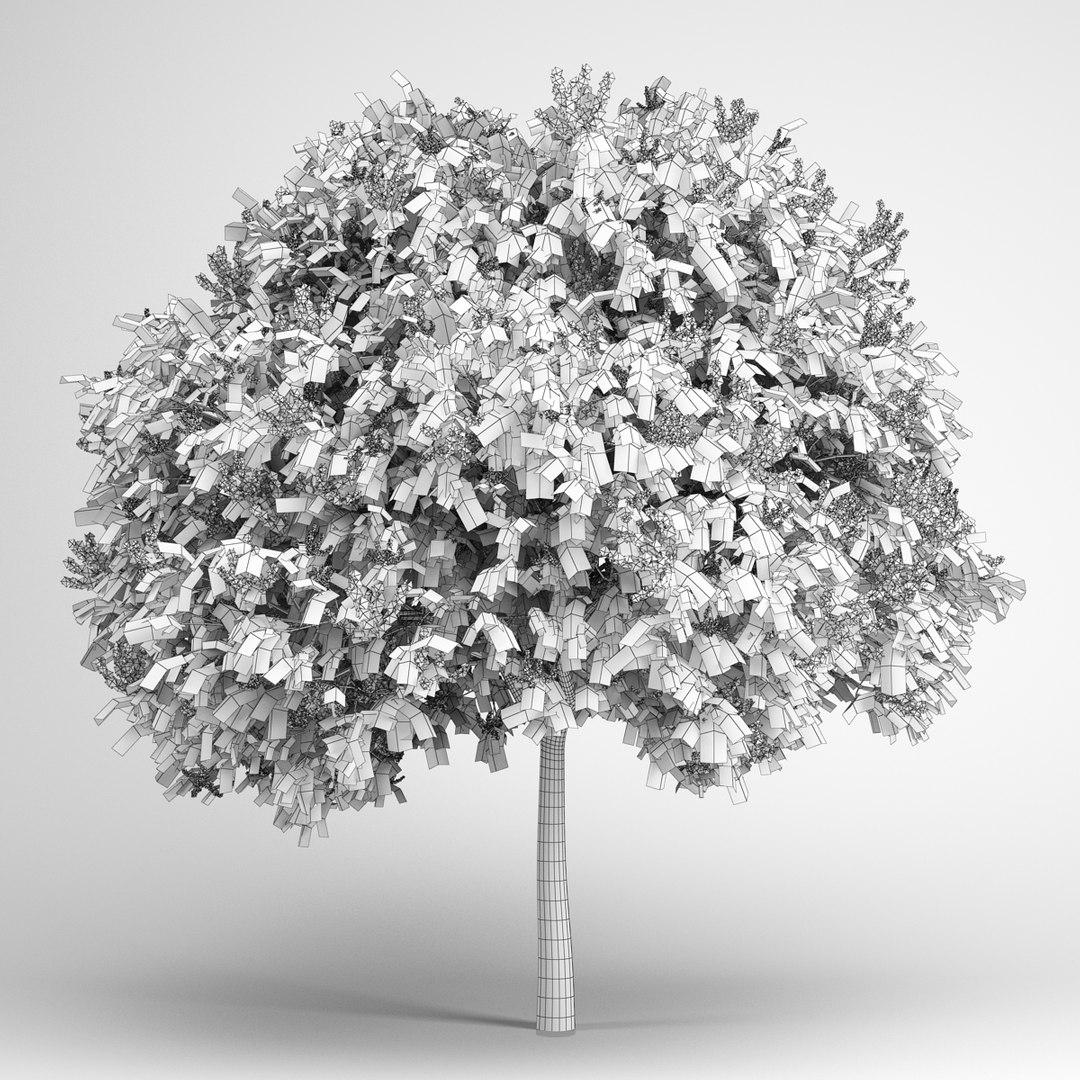 max volume 14 trees https://p.turbosquid.com/ts-thumb/AM/eQGd20/wpxqlTaN/cgaxis_models_14_08grid/jpg/1313678753/1920x1080/fit_q87/279b8aaf437c774a7e3f18d4633b2231d3c0dd25/cgaxis_models_14_08grid.jpg