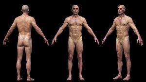 REALISTIC HIGHLY DETAILED MAN