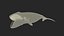 Sea Animal Bowhead Whale Rigged for Cinema 4D 3D