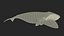 Sea Animal Bowhead Whale Rigged for Cinema 4D 3D