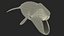 Sea Animal Bowhead Whale Rigged for Cinema 4D 3D