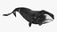 Sea Animal Bowhead Whale Rigged for Cinema 4D 3D