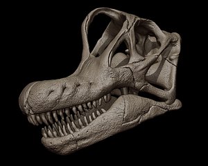 Brachiosaurus Skull 3D Print Model model