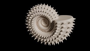 Subevolute Ammonoid Shell with spines