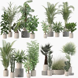 20 Photorealistic Flowers for Interiors - set 202 205 213 216 3D