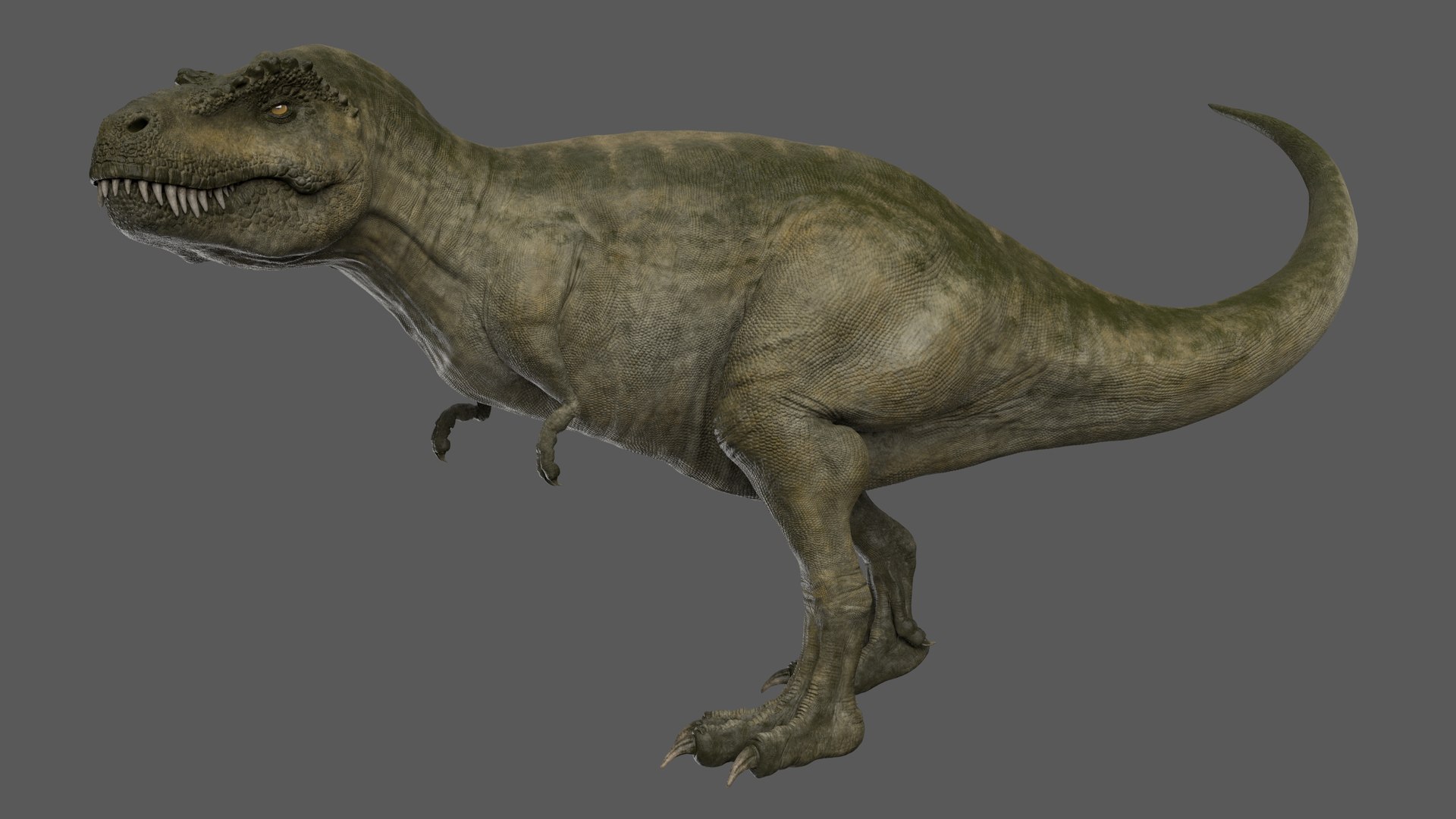 rigged tyrannosaurus rex t-rex 3D model https://p.turbosquid.com/ts-thumb/AN/6ktqZI/6TRcXN9s/trex_poses_005/jpg/1585654385/1920x1080/fit_q87/2587468b020b4e6dcef6f154d510203e26629b74/trex_poses_005.jpg