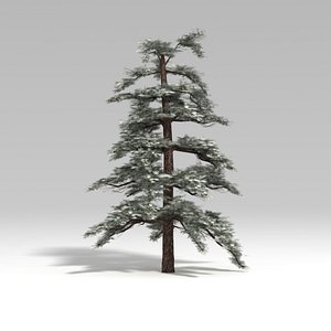 snowtree tree snow 3d model