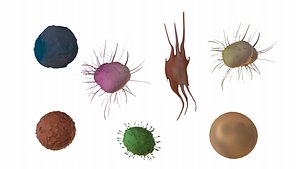 3D cells virus bacteria model