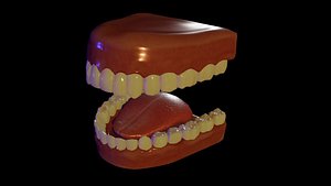 Teeth and Tongue 3D Model Rigged
