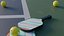 Pickle Ball 3D model