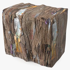3D model Pressed Cardboard Briquette
