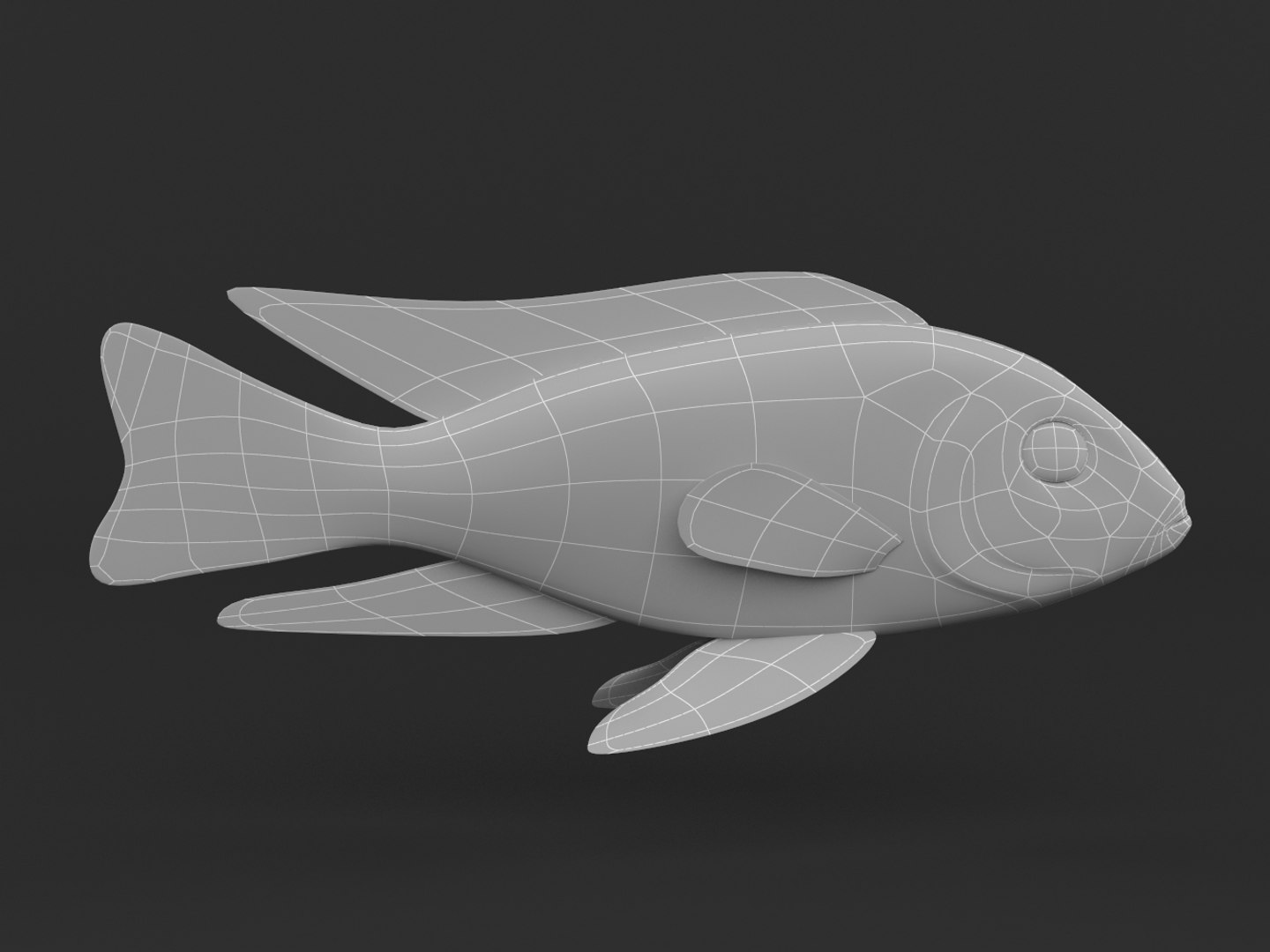 fish cichlid 3D https://p.turbosquid.com/ts-thumb/AN/lTDa0h/uR10yXzw/10000/png/1601705570/1920x1080/fit_q87/974a2fc697ccae9b4a501c990a6b888e3e4f2cba/10000.jpg