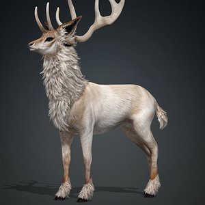 Deer-B1 3D model