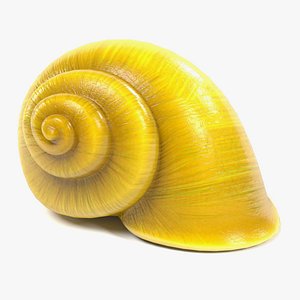 Snail Shell