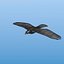 bird flock animation 3d 3ds