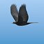 bird flock animation 3d 3ds