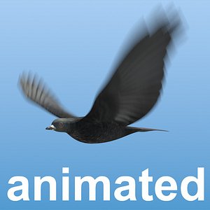 Bird For Flock Animation