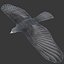 bird flock animation 3d 3ds