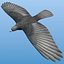 bird flock animation 3d 3ds