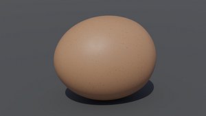 Realistic Egg