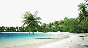3d palm beach vegetation