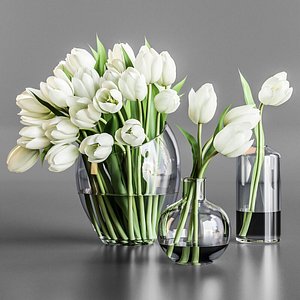3D white tulips