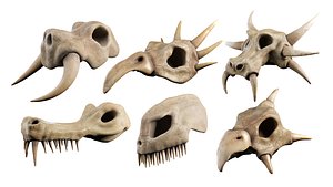 skull set 3D model