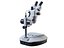 Microscope 3D