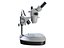 Microscope 3D