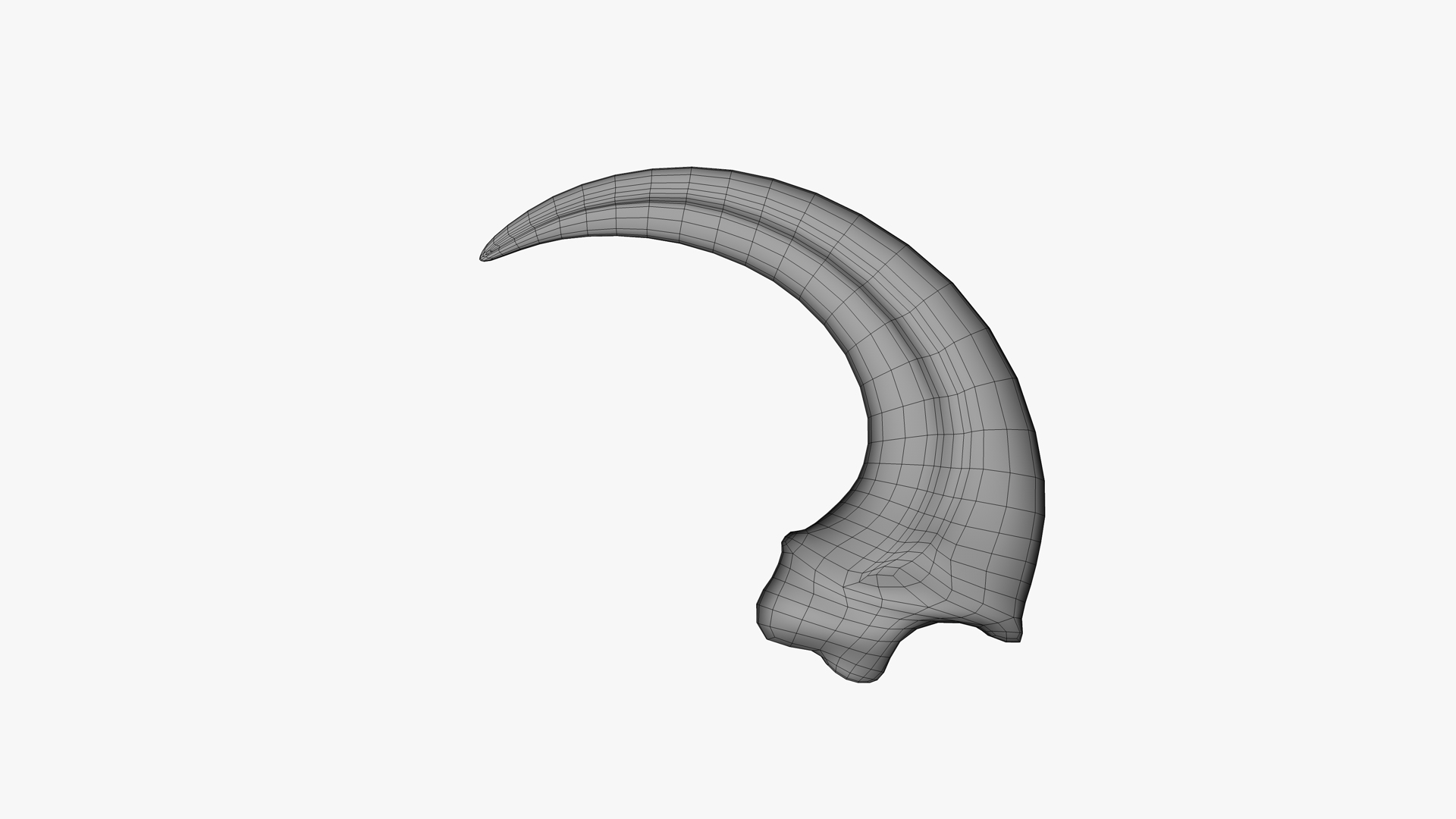 real raptor claws