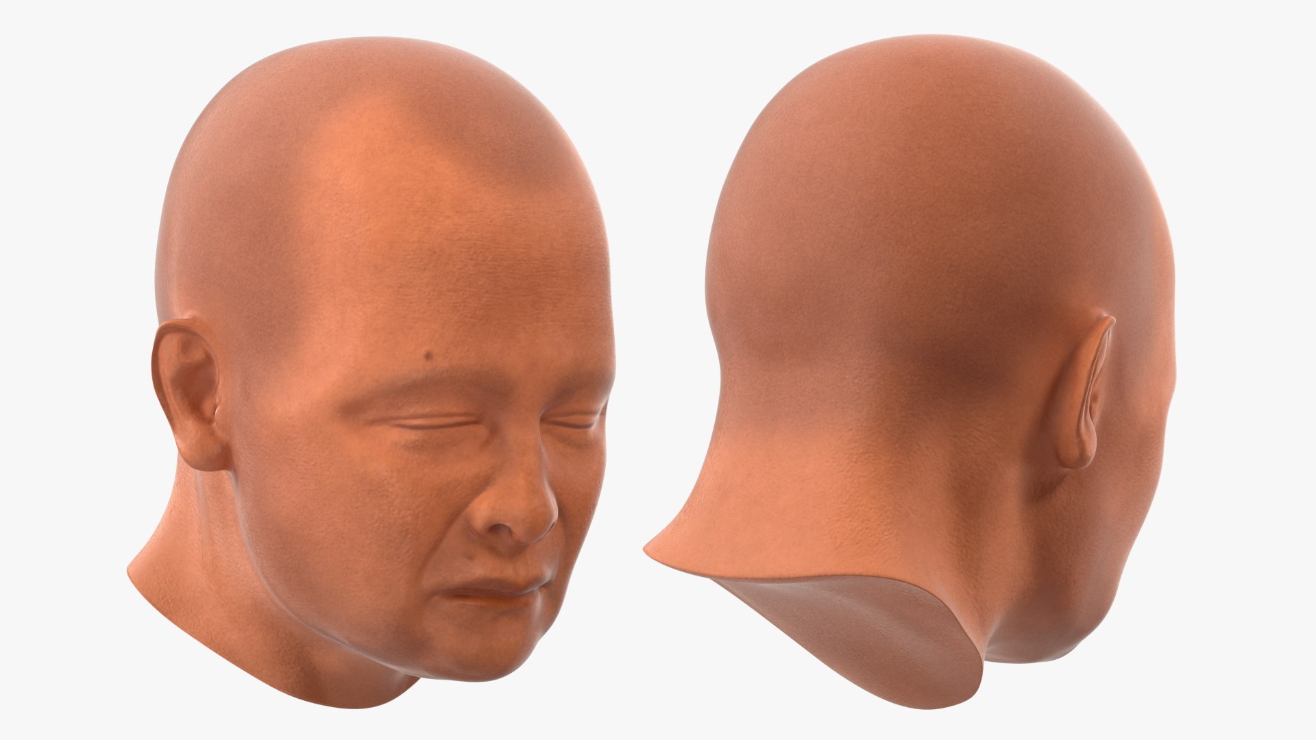 Monk Head Model TurboSquid 2001413