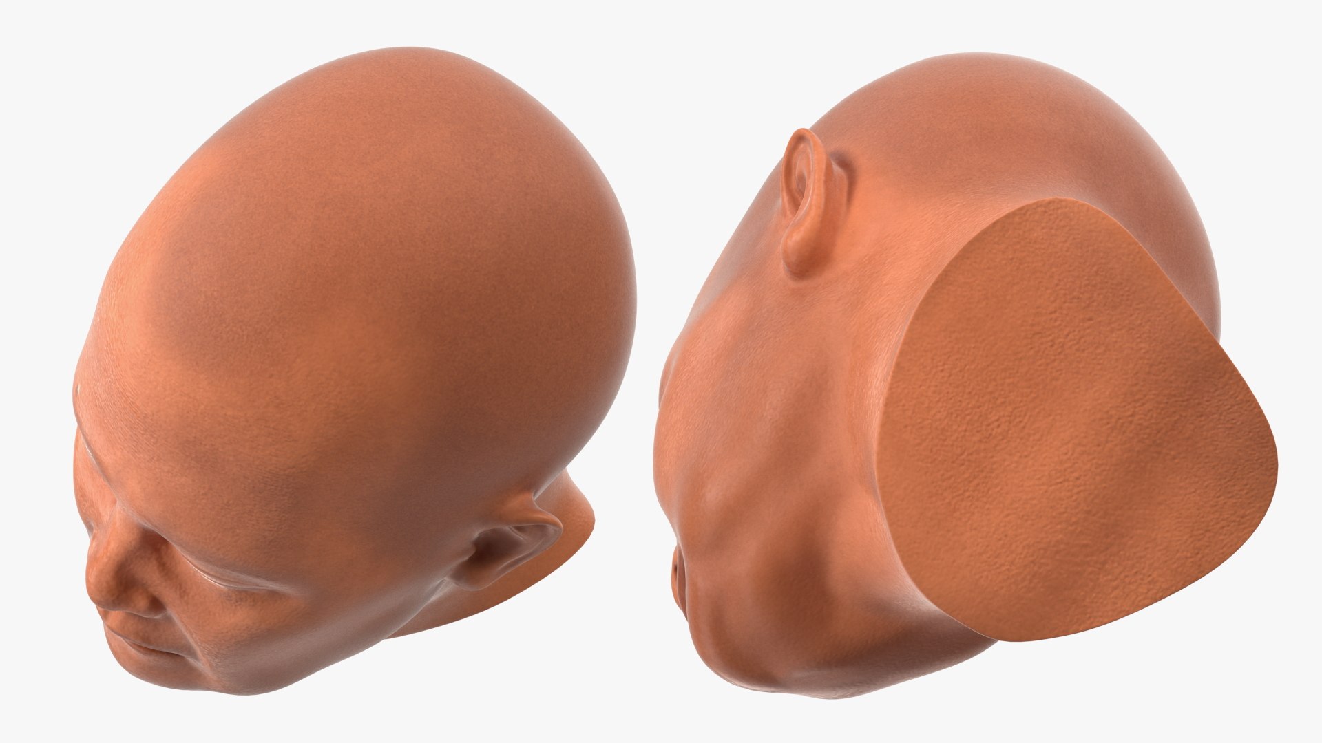 Monk Head Model TurboSquid 2001413