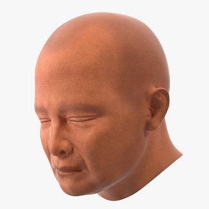Monk Head