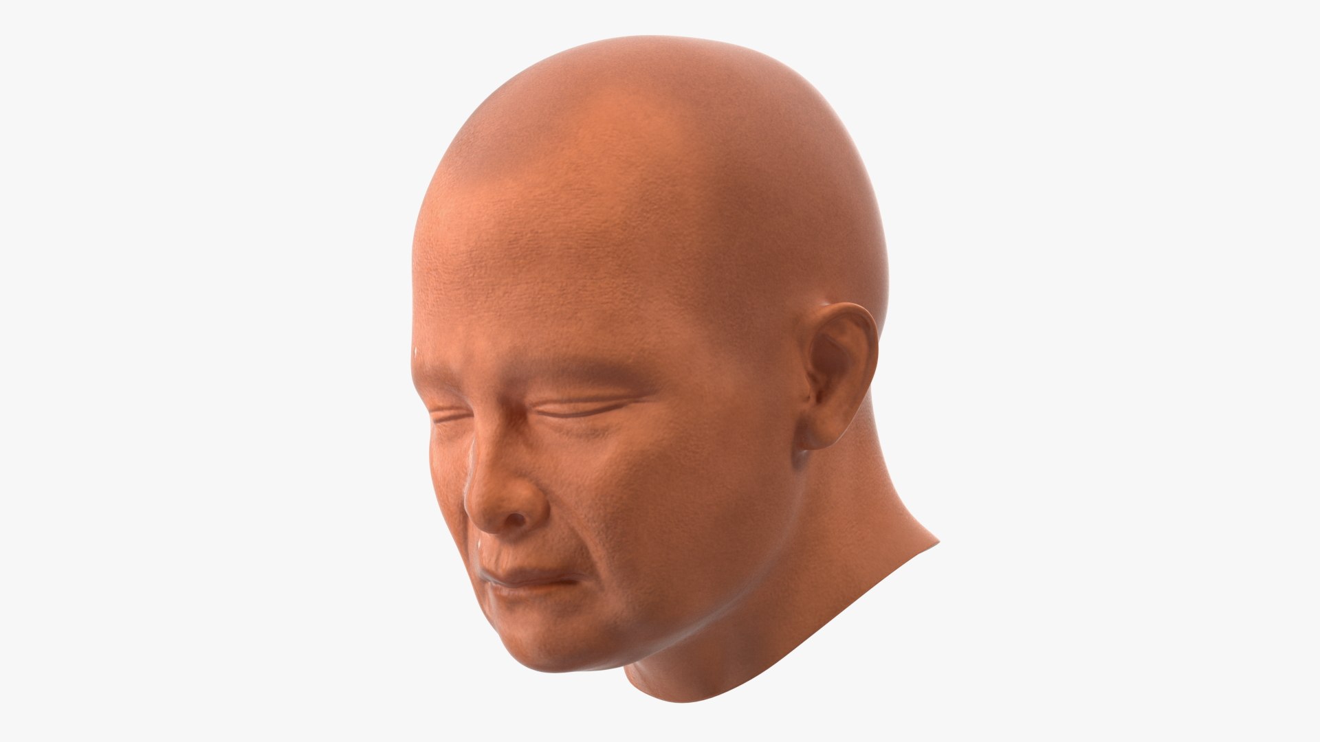 Monk Head Model TurboSquid 2001413