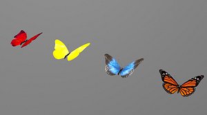 3D butterfly model