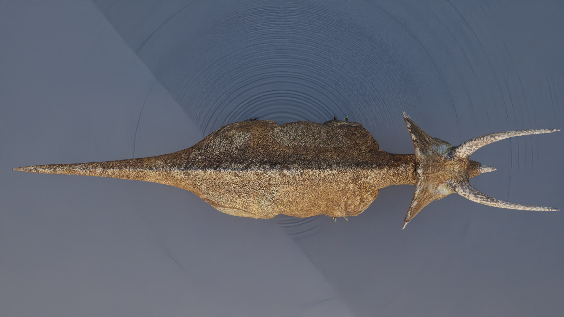 Photoreal Triceratops for Animation  3D Print 3D https://p.turbosquid.com/ts-thumb/AP/2GNBuL/JX/triceras0025/png/1744314410/1920x1080/fit_q87/77bfe0d23b1f8e275411e159cbf8989d5b0e0bc5/triceras0025.jpg