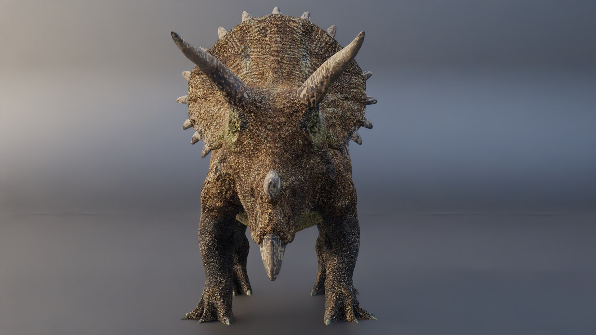 Photoreal Triceratops for Animation  3D Print 3D https://p.turbosquid.com/ts-thumb/AP/2GNBuL/Qd/triceras0027/png/1744314410/1920x1080/fit_q87/2b51f733916190f04c2d4280d125112f463fdc69/triceras0027.jpg