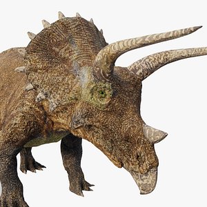 Photoreal Triceratops for Animation  3D Print 3D