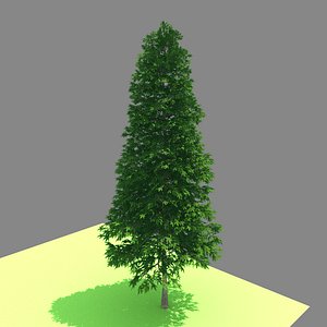 3D model forest - norway spruce