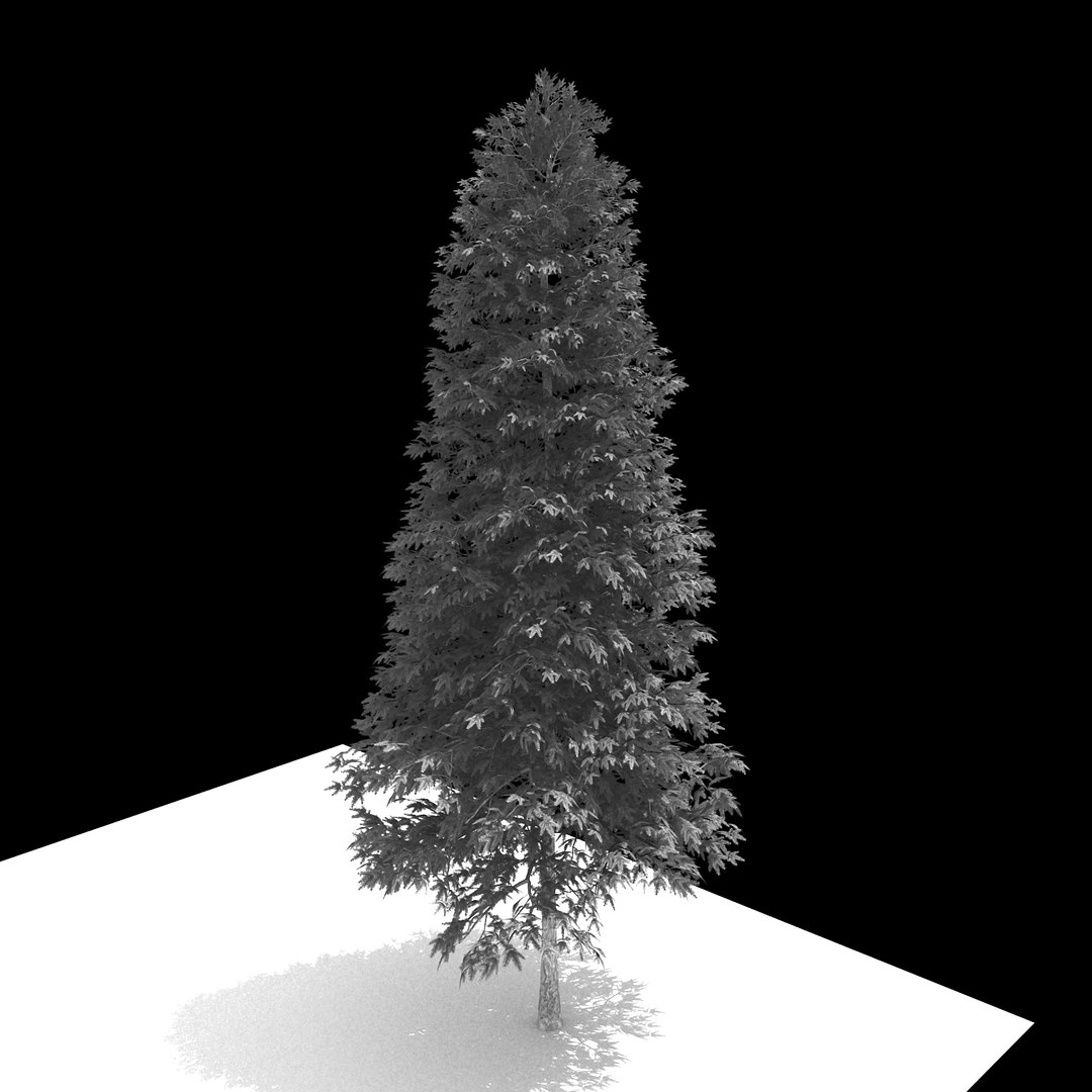 3D Model Forest - Norway Spruce - TurboSquid 1449199