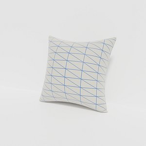 Cushion