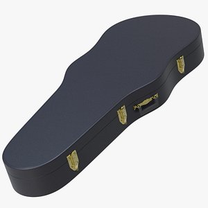 Guitar Case