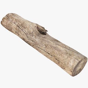 A length of wood 3d scan in highpoly model