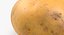 Unpeeled Raw Potato 3D Model
