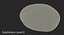 Unpeeled Raw Potato 3D Model