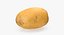 Unpeeled Raw Potato 3D Model