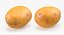 Unpeeled Raw Potato 3D Model
