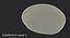 Unpeeled Raw Potato 3D Model