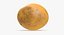 Unpeeled Raw Potato 3D Model